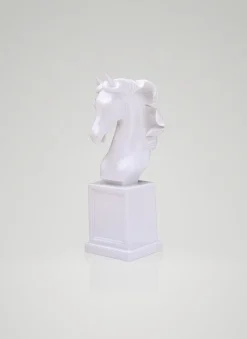 Araber Torso