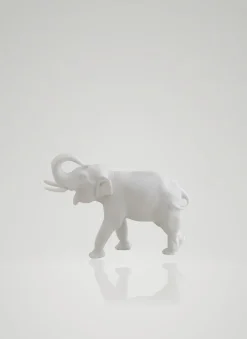 Elefant stehend