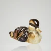 Ente gerade schauend