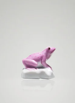 Frosch Rosamunde