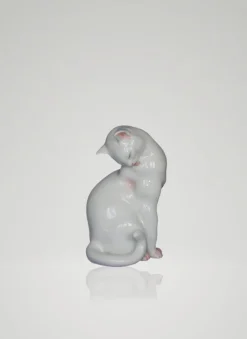 Katze sitzend, Weiß mit Akzenten