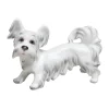 Skyterrier