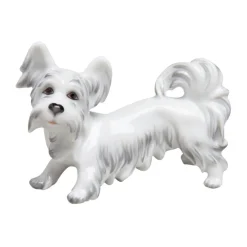 Skyterrier