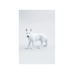 Weißer Schäferhund